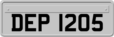 DEP1205