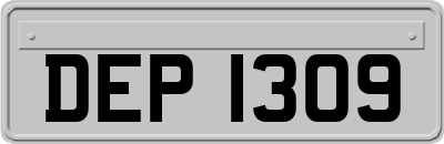 DEP1309