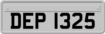 DEP1325