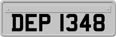 DEP1348