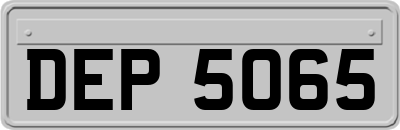 DEP5065