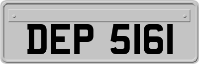 DEP5161
