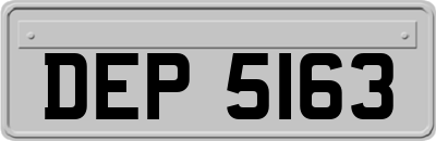 DEP5163