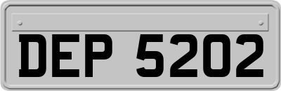DEP5202