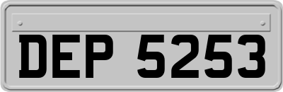 DEP5253