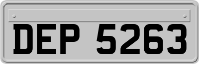 DEP5263