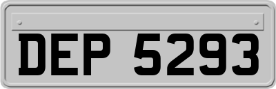 DEP5293