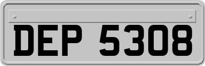 DEP5308