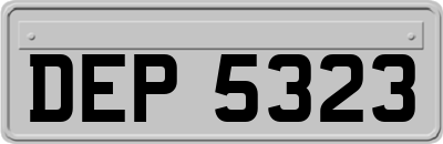 DEP5323