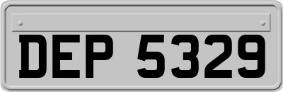 DEP5329