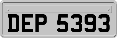 DEP5393