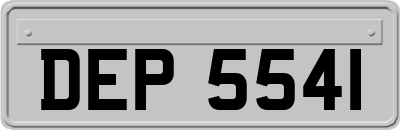 DEP5541