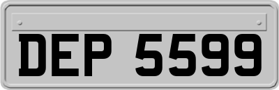 DEP5599
