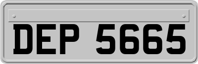 DEP5665