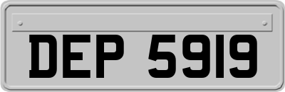 DEP5919