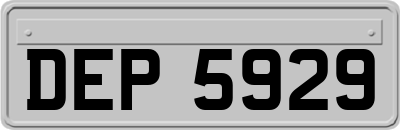 DEP5929