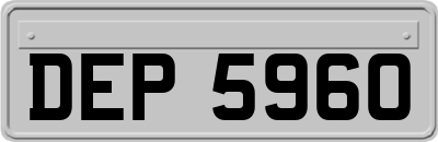 DEP5960