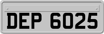 DEP6025