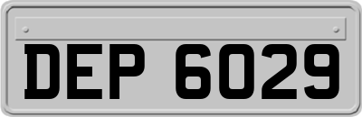 DEP6029