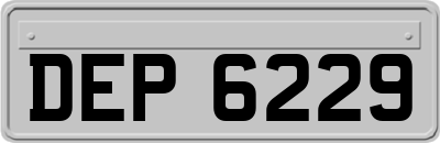 DEP6229