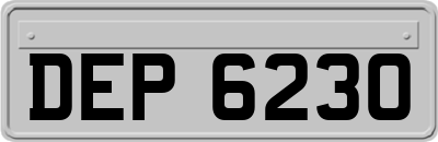 DEP6230