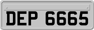 DEP6665