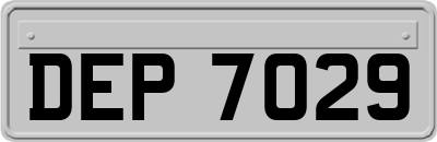 DEP7029