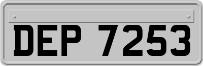 DEP7253