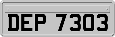DEP7303