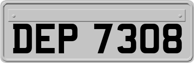 DEP7308