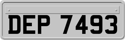 DEP7493