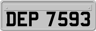 DEP7593