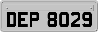 DEP8029