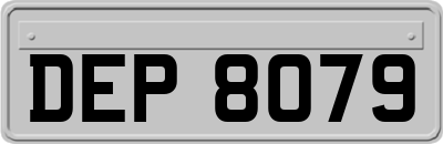 DEP8079