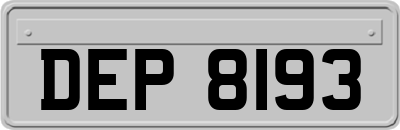 DEP8193