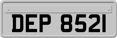 DEP8521