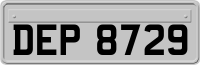 DEP8729