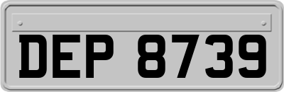 DEP8739
