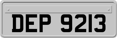 DEP9213