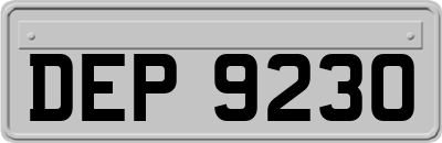 DEP9230