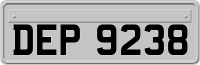 DEP9238