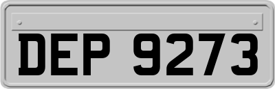 DEP9273