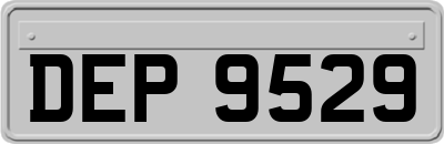 DEP9529