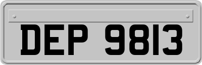 DEP9813