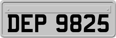 DEP9825