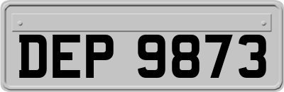 DEP9873