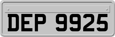DEP9925