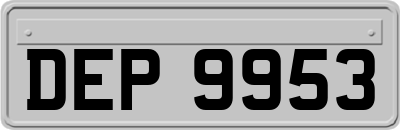 DEP9953