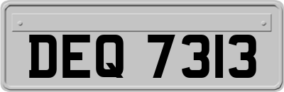 DEQ7313