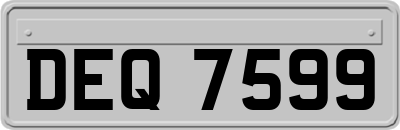 DEQ7599
